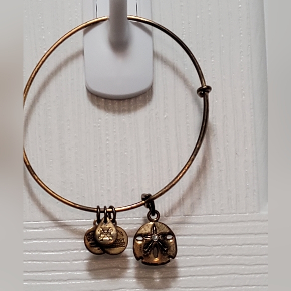 Alex & Ani sand dollar charm bangle, Rafaelian gold - Picture 4 of 5